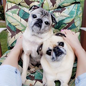 Meet your Posher, Tim